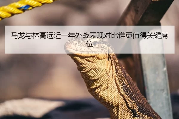 马龙与林高远近一年外战表现对比谁更值得关键席位