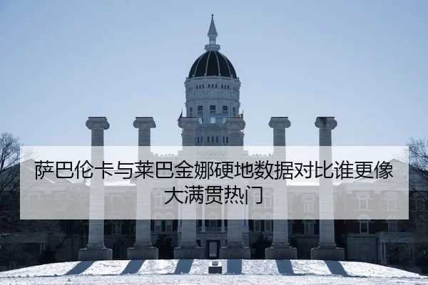 萨巴伦卡与莱巴金娜硬地数据对比谁更像大满贯热门