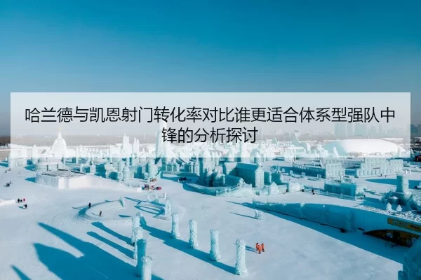哈兰德与凯恩射门转化率对比谁更适合体系型强队中锋的分析探讨