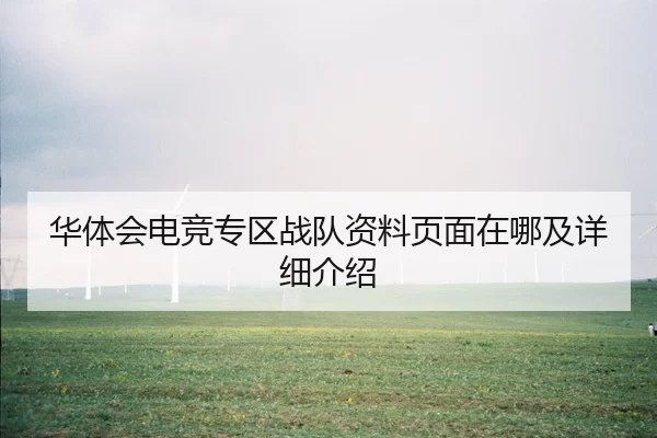 华体会电竞专区战队资料页面在哪及详细介绍