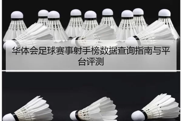 华体会足球赛事射手榜数据查询指南与平台评测
