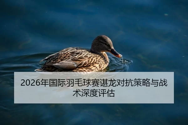 2026年国际羽毛球赛谌龙对抗策略与战术深度评估