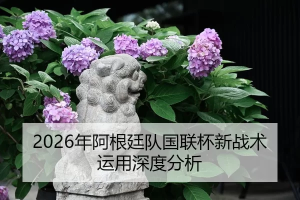 nian-a-gen-ting-dui-guo-lian-bei-xin-zhan-shu-yun-yong-shen-du-fen-xi-2-645.jpg