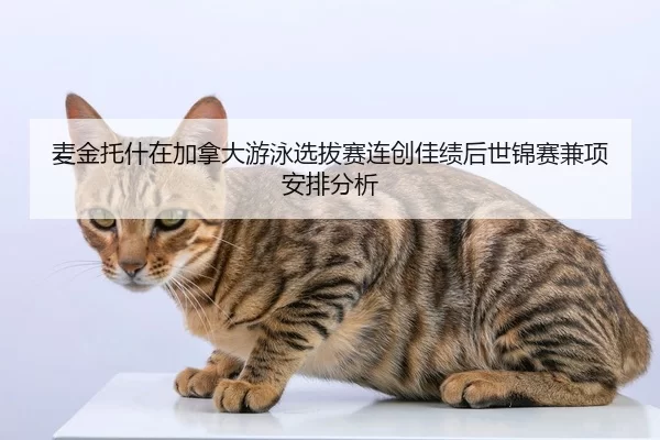 mai-jin-tuo-shen-zai-jia-na-da-you-yong-xuan-ba-sai-lian-chuang-jia-ji-hou-shi-jin-sai-jian-xiang-an-pai-fen-xi-2-640.jpg