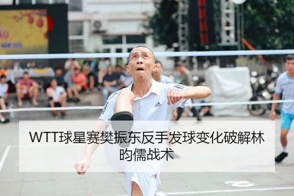 WTT球星赛樊振东反手发球变化破解林昀儒战术
