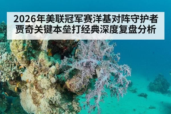 2026年美联冠军赛洋基对阵守护者贾奇关键本垒打经典深度复盘分析